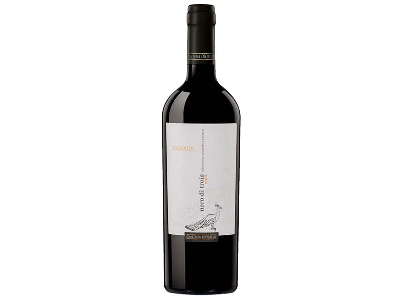 Cantina Diomede, `Canace` Nero di Troia - Image 2